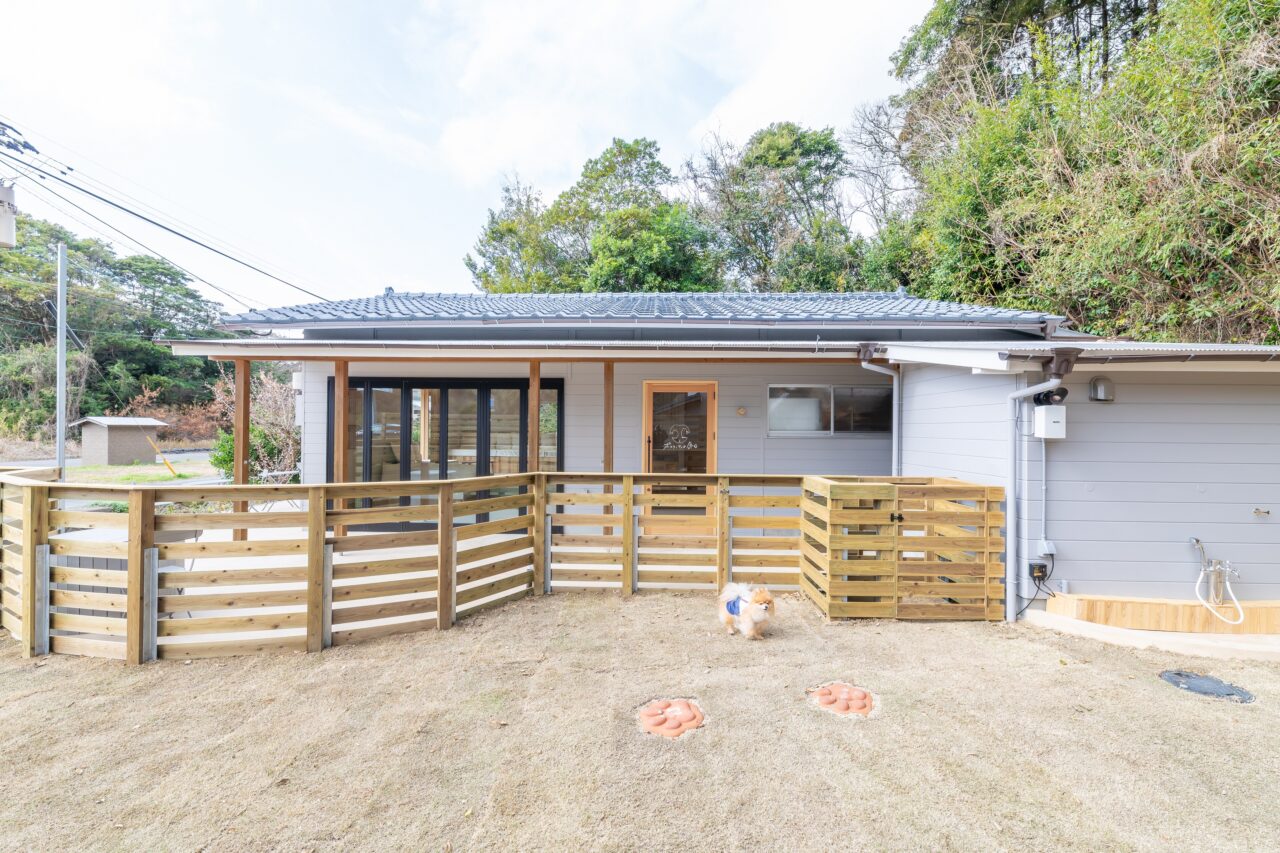 ポメラニアンの休日