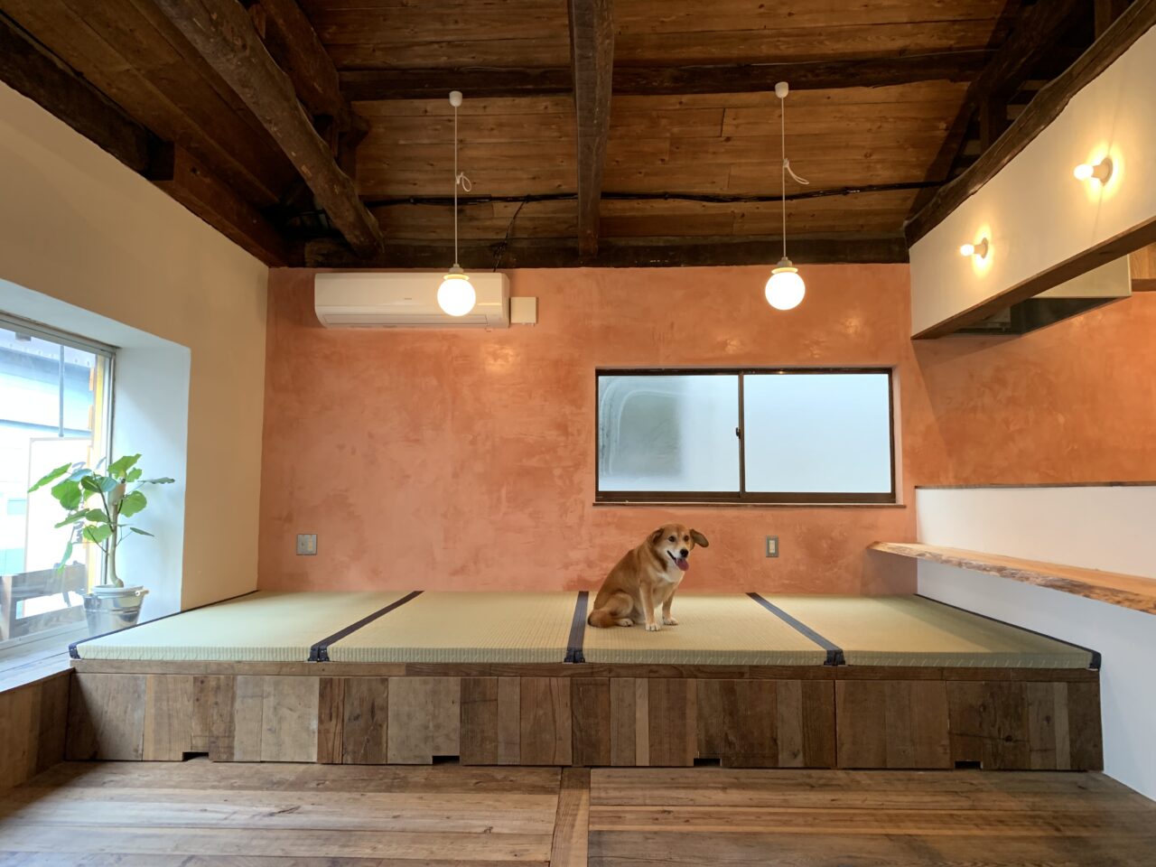 ゲストハウス さんかくワサビ